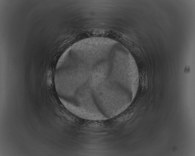 X0000095530962200801041242