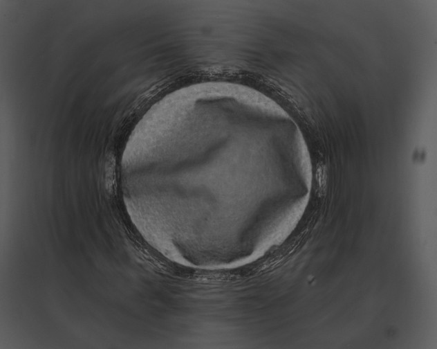 X0000095530963200801041242