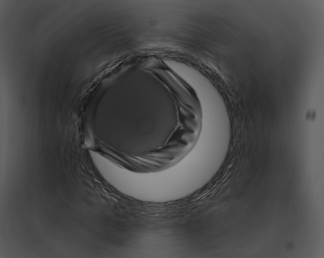 X0000095530965200801041242