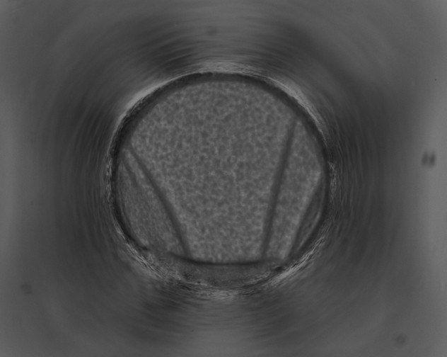 X0000095530971200801041242