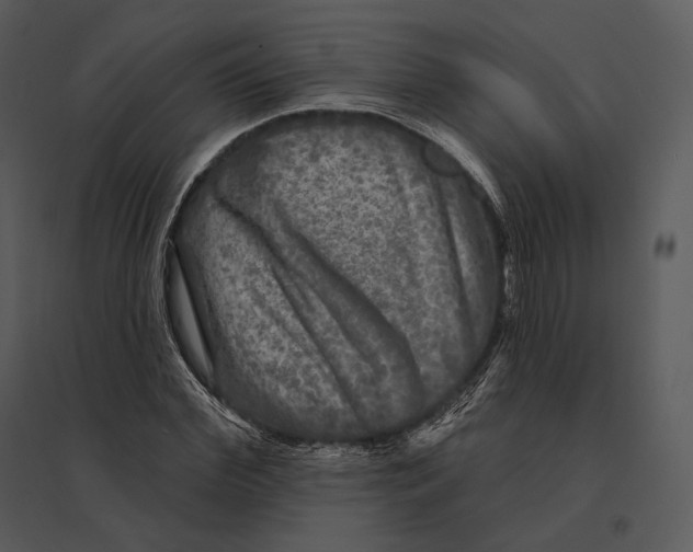 X0000095530972200801041242