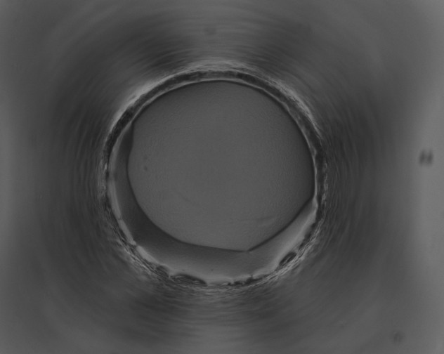 X0000095530973200801041242