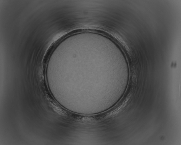 X0000095530974200801041242