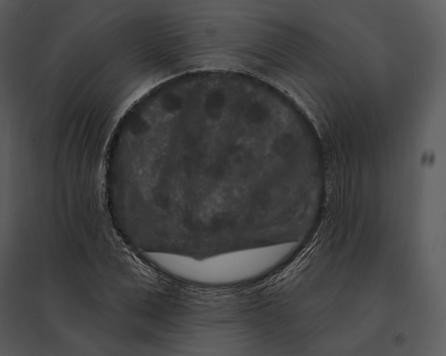 X0000095530975200801041242