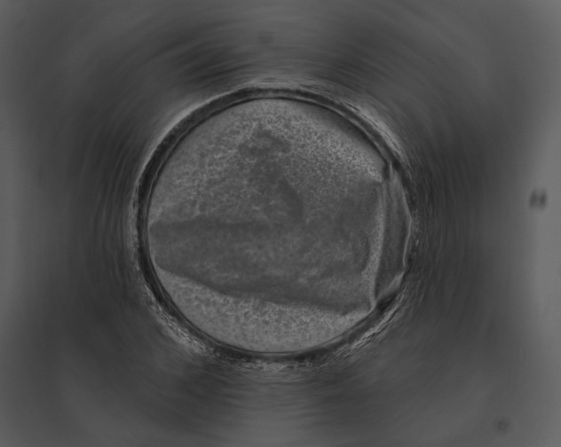 X0000095530976200801041242