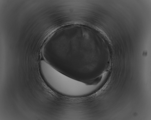 X0000095530977200801041242