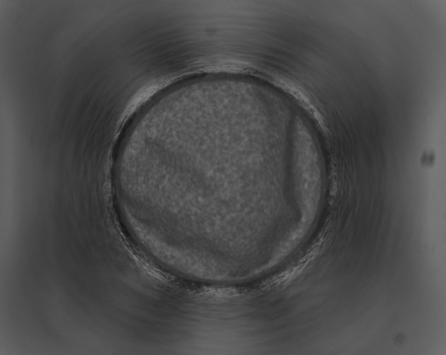 X0000095530978200801041242