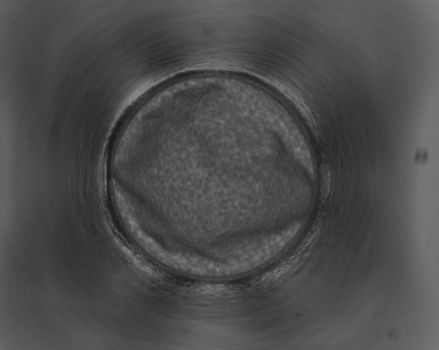 X0000095530982200801041242