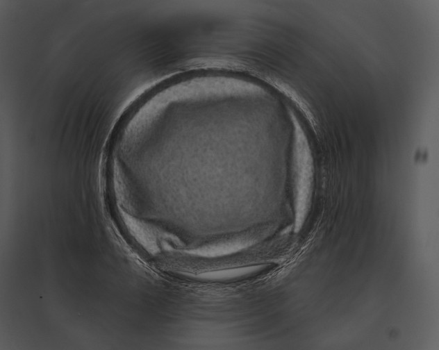 X0000095530983200801041242