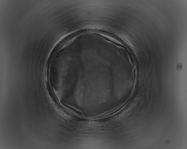 X0000095530984200801041242