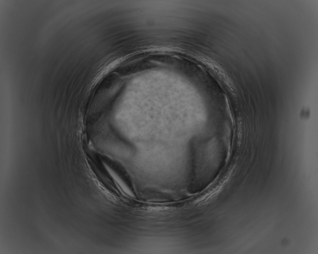 X0000095530985200801041242