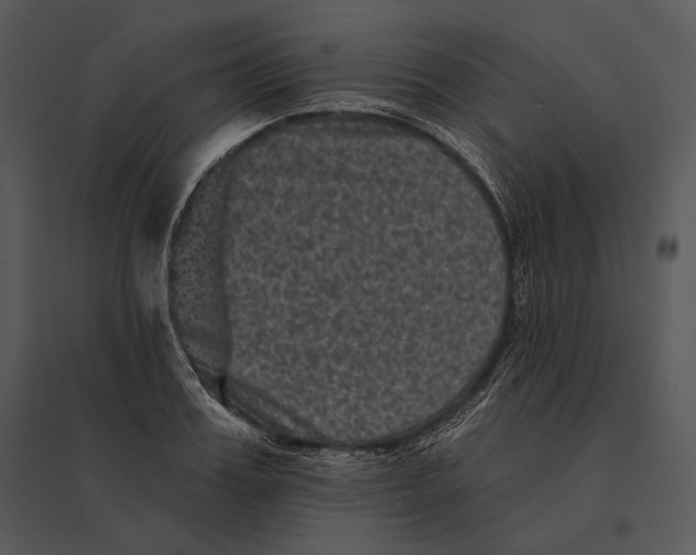 X0000095530987200801041242