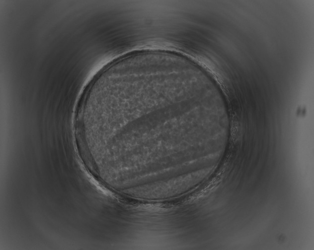 X0000095530990200801041242