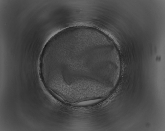 X0000095530991200801041242