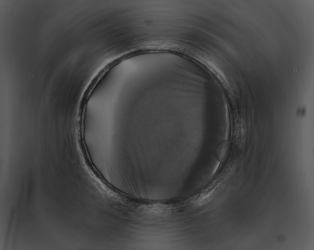 X0000095530992200801041242