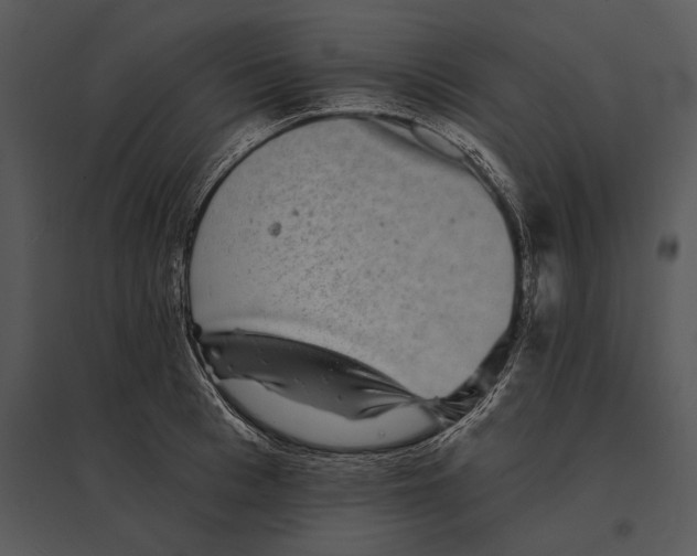 X0000095530993200801041242