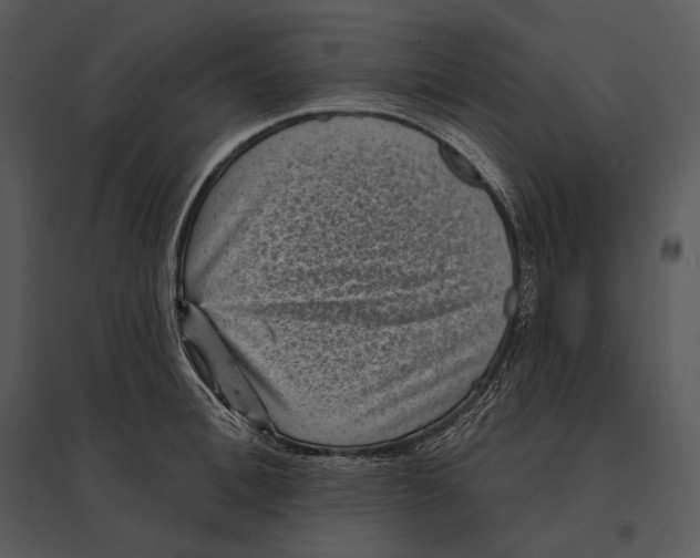 X0000095530996200801041241