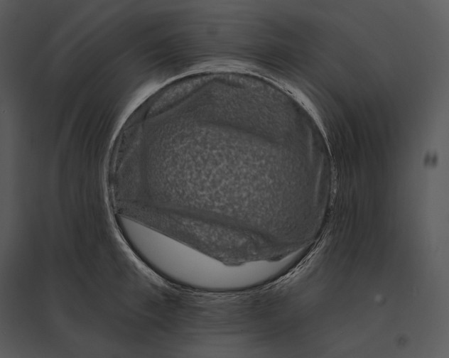 X0000095530997200801041241