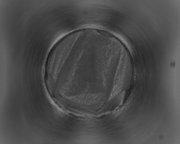 X0000095530999200801041241