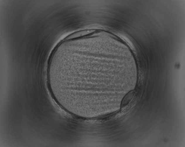 X0000095531000200801041241