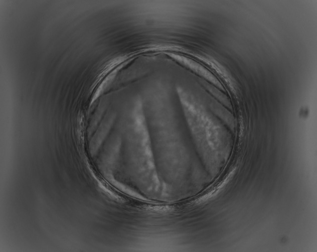 X0000095531001200801041241