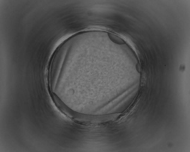 X0000095531003200801041241