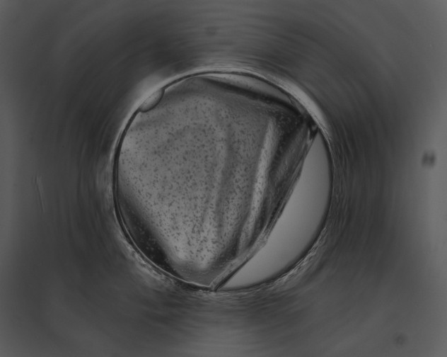 X0000095531004200801041241