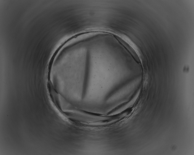 X0000095531005200801041241