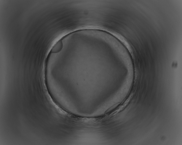 X0000095531006200801041241