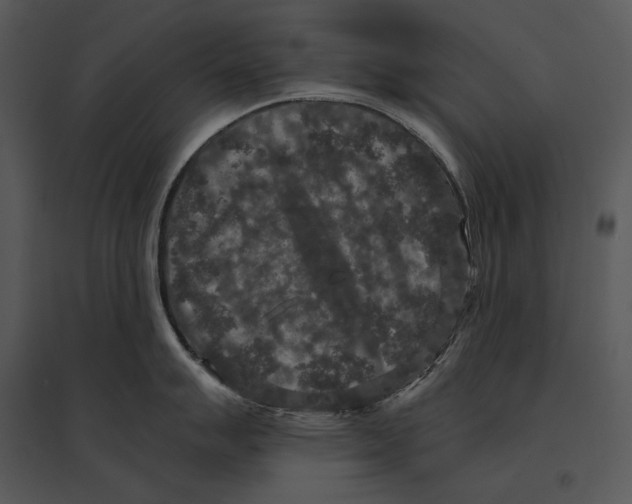 X0000095531007200801041241