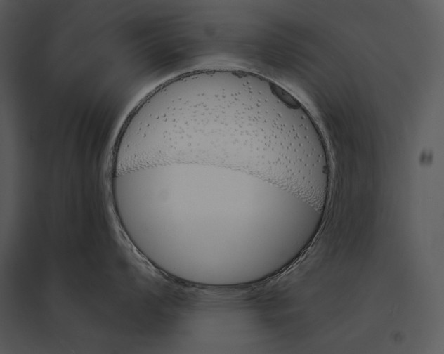 X0000095531008200801041241