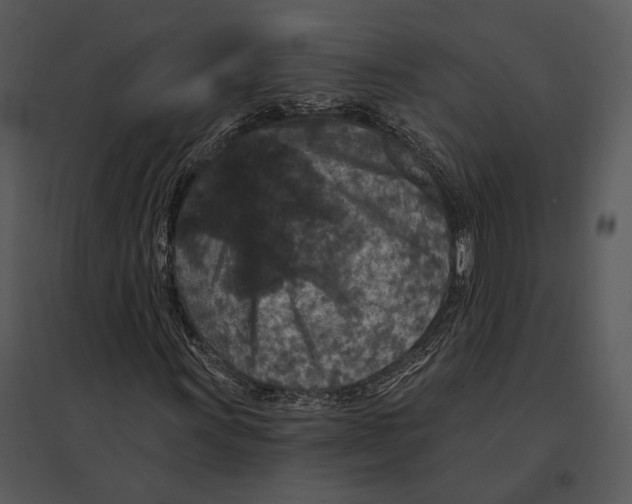 X0000095531011200801041241