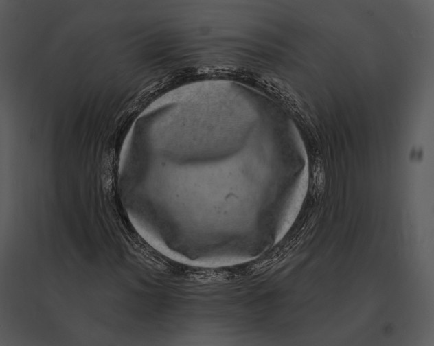 X0000095531012200801041241