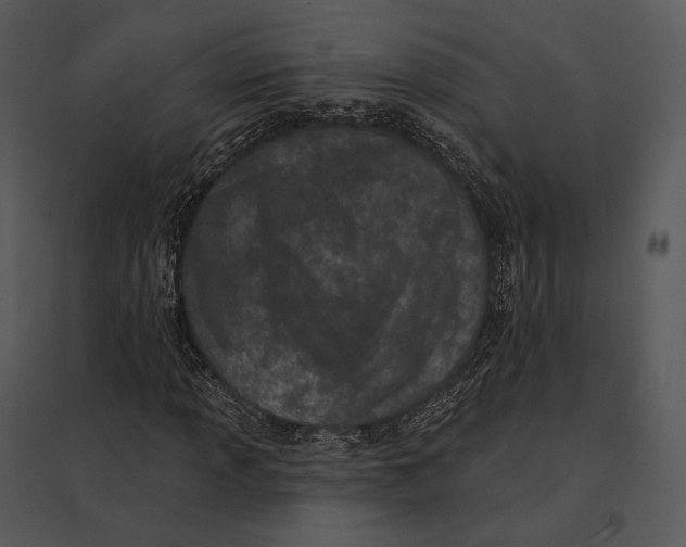 X0000095531013200801041241