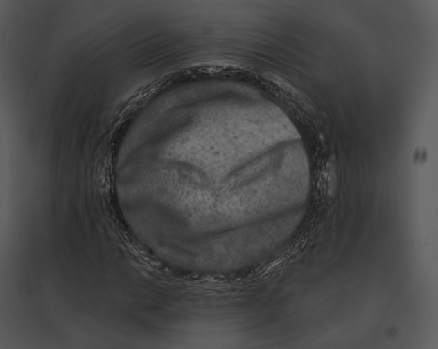 X0000095531014200801041241