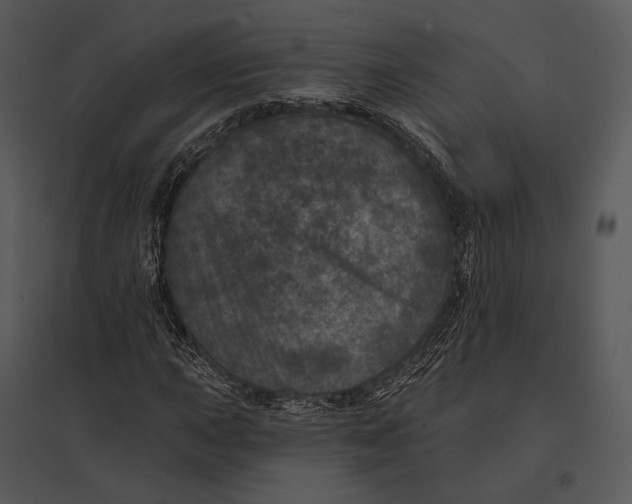 X0000095531015200801041241