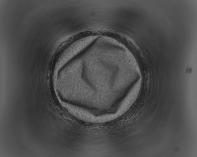 X0000095531016200801041241