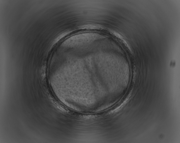 X0000095531017200801041241