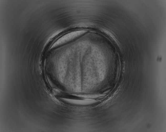 X0000095531018200801041241