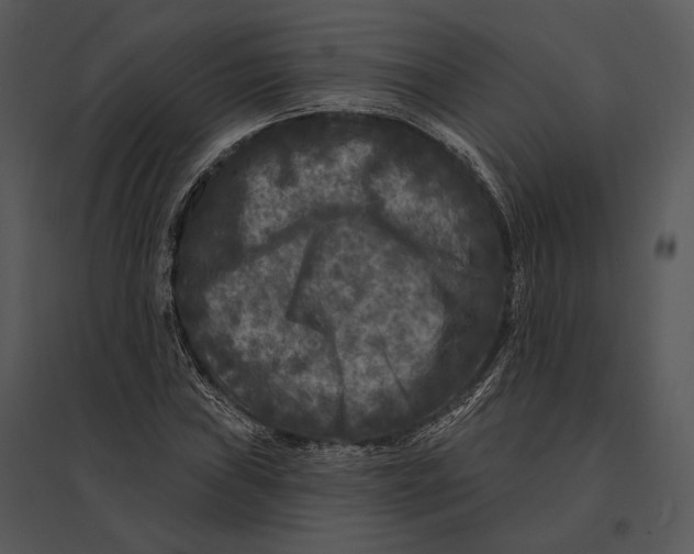 X0000095531019200801041241