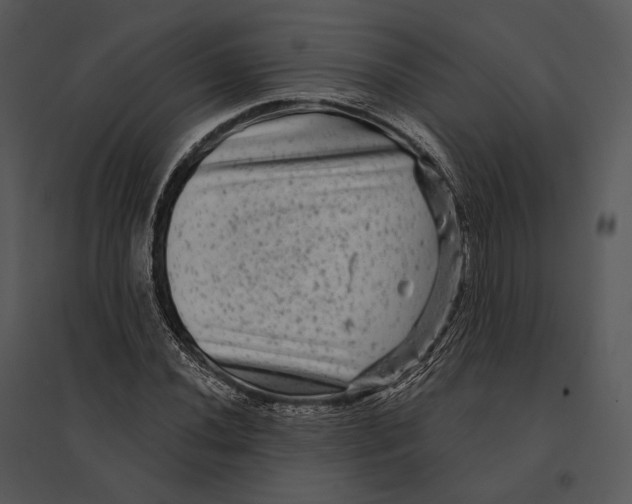 X0000095531020200801041241