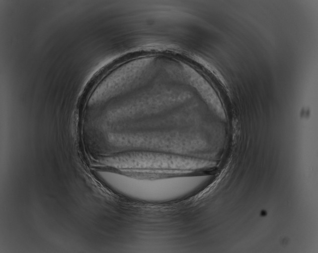 X0000095531021200801041241