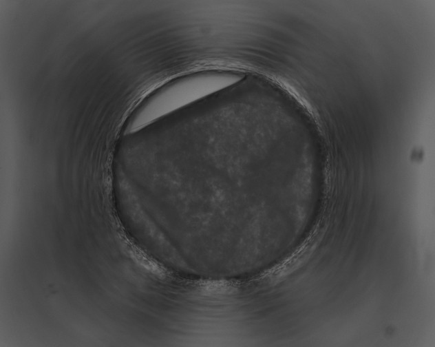 X0000095531025200801041241