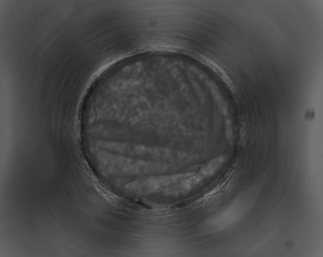 X0000095531027200801041241