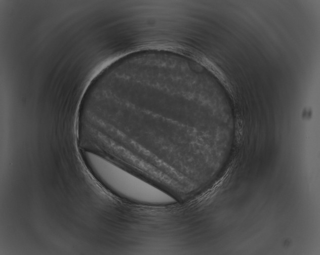 X0000095531028200801041241