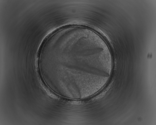 X0000095531029200801041241