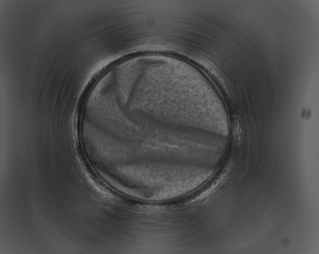 X0000095531030200801041241