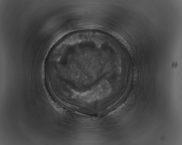 X0000095531031200801041241