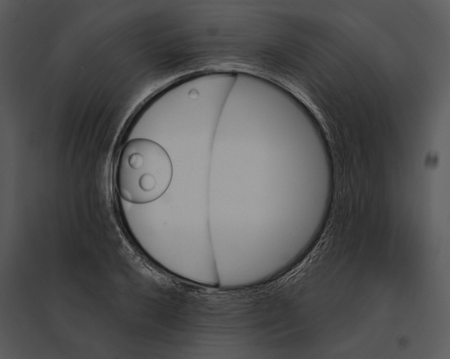 X0000095531032200801041241