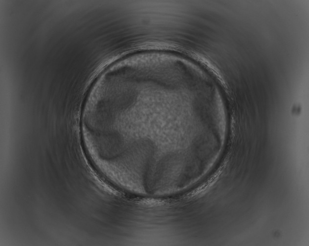 X0000095531033200801041241